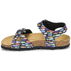 Citrouille et Compagnie - RELUNE