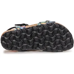 Citrouille et Compagnie - RELUNE