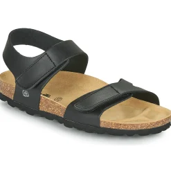 Citrouille et Compagnie - BELLI JOE