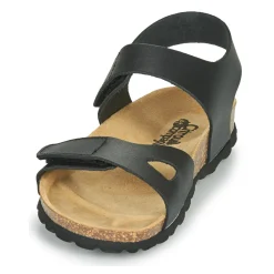 Citrouille et Compagnie - BELLI JOE