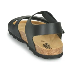 Citrouille et Compagnie - BELLI JOE