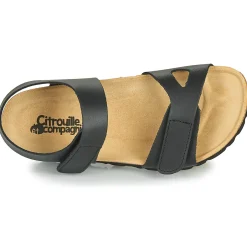 Citrouille et Compagnie - BELLI JOE