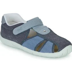 Citrouille et Compagnie - FIJOSAN