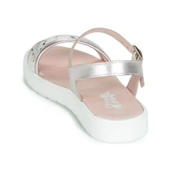 Citrouille et Compagnie - JIMINITE