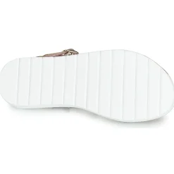 Citrouille et Compagnie - JIMINITE