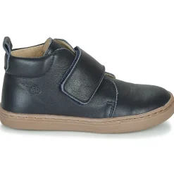 Citrouille et Compagnie - FOJAMO