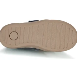 Citrouille et Compagnie - FOJAMO