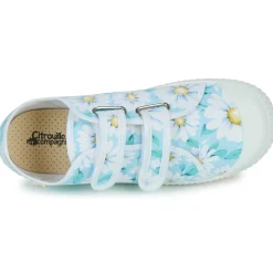 Citrouille et Compagnie - MINOT