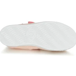 Citrouille et Compagnie - APSUT