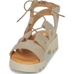 Citrouille et Compagnie - VELOCI