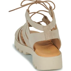 Citrouille et Compagnie - VELOCI