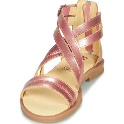 Citrouille et Compagnie - IMOURAT