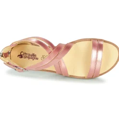 Citrouille et Compagnie - IMOURAT