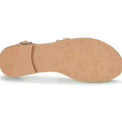 Citrouille et Compagnie - IMOURAT