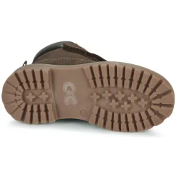 Citrouille et Compagnie - PAXA