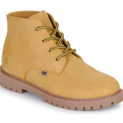 Citrouille et Compagnie - AGORA