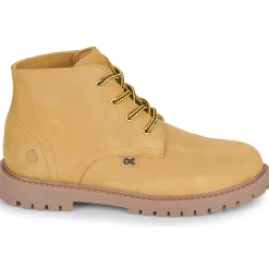 Citrouille et Compagnie - AGORA