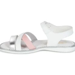 Citrouille et Compagnie - IZOEGL