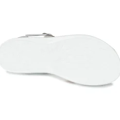 Citrouille et Compagnie - IZOEGL