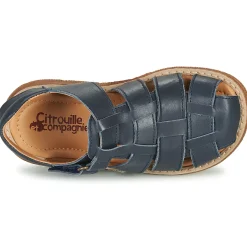 Citrouille et Compagnie - GLENO