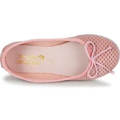 Citrouille et Compagnie - GERRAGO