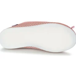 Citrouille et Compagnie - GERRAGO