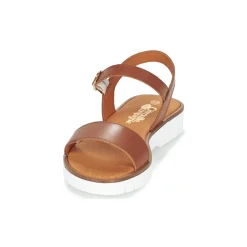 Citrouille et Compagnie - GAPOTI