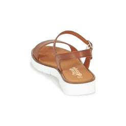 Citrouille et Compagnie - GAPOTI