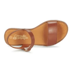 Citrouille et Compagnie - GAPOTI