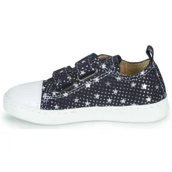 Citrouille et Compagnie - NADIR