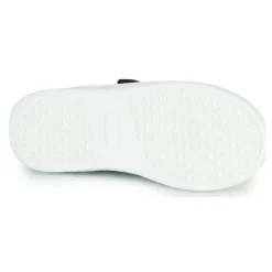 Citrouille et Compagnie - NADIR