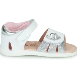 Citrouille et Compagnie - NEW 5