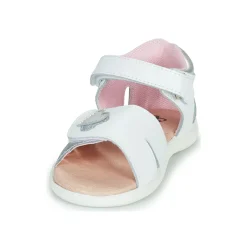 Citrouille et Compagnie - NEW 5