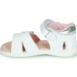 Citrouille et Compagnie - NEW 5