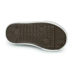 Citrouille et Compagnie - OUTIL