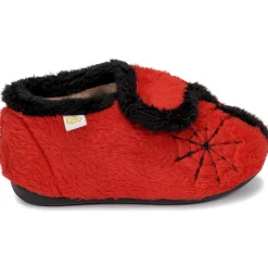 Citrouille et Compagnie - NOLIROSSO