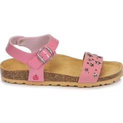 Citrouille et Compagnie - IHITO