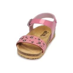 Citrouille et Compagnie - IHITO