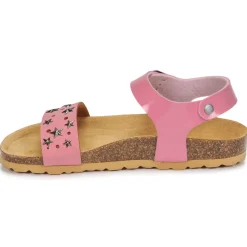 Citrouille et Compagnie - IHITO