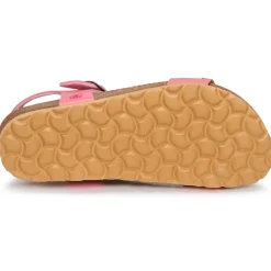 Citrouille et Compagnie - IHITO