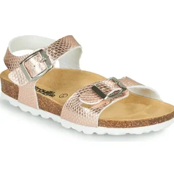 Citrouille et Compagnie - RELUNE