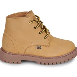 Citrouille et Compagnie - AGORA