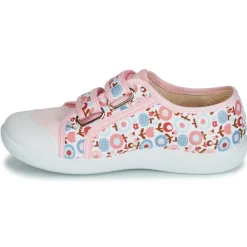 Citrouille et Compagnie - GLASSIA