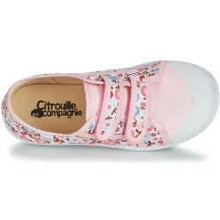 Citrouille et Compagnie - GLASSIA