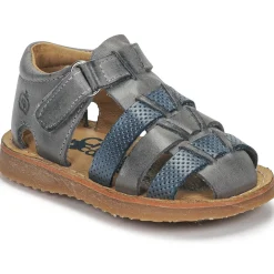 Citrouille et Compagnie - MISTIGRI