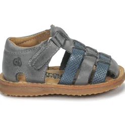 Citrouille et Compagnie - MISTIGRI