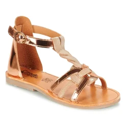 Citrouille et Compagnie - GITANOLO