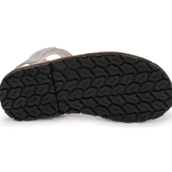 Citrouille et Compagnie - SQUOUBEL