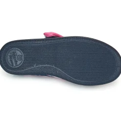 Citrouille et Compagnie - PIVONA