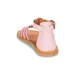 Citrouille et Compagnie - JASMA